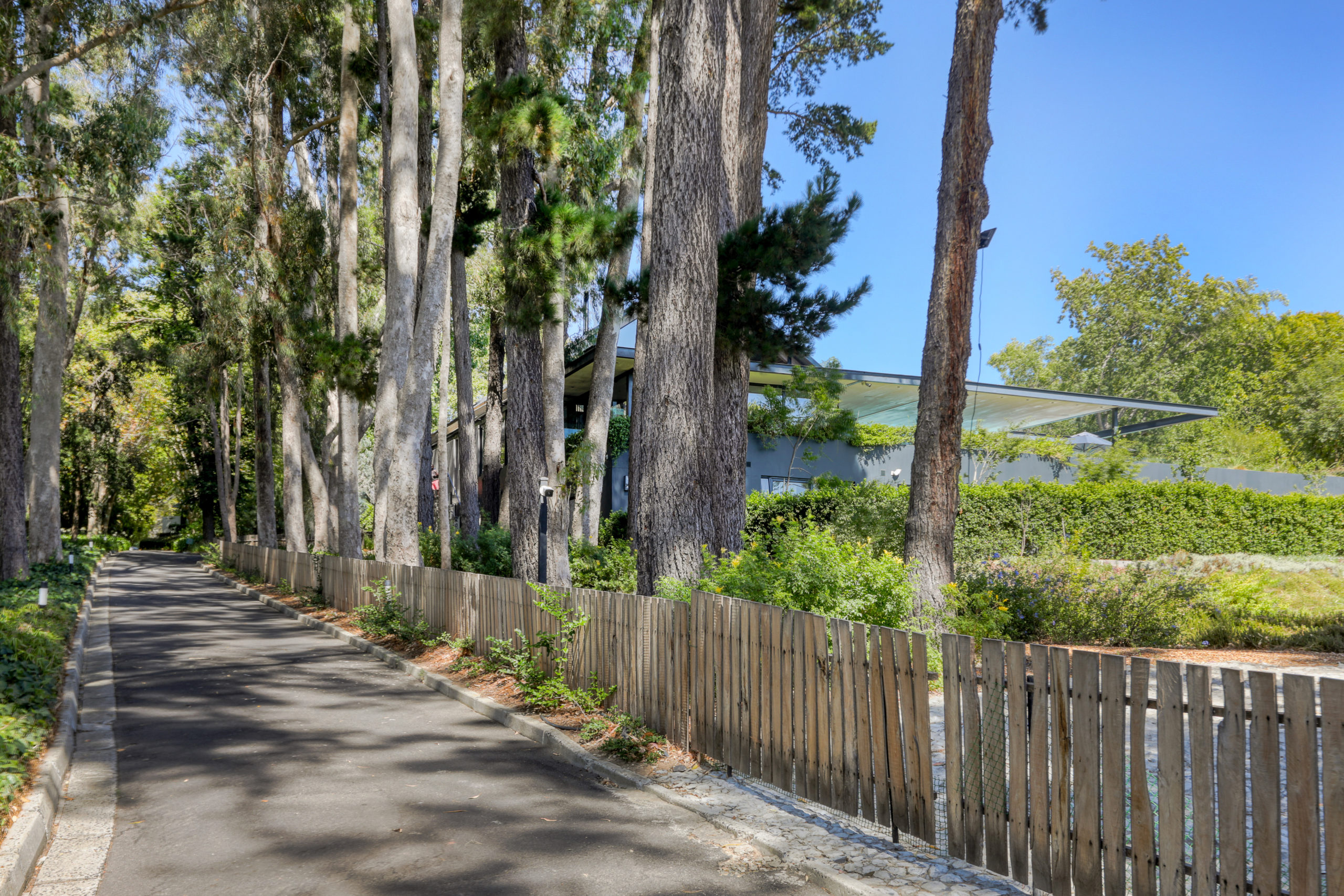 Constantia Twilight Photo 10