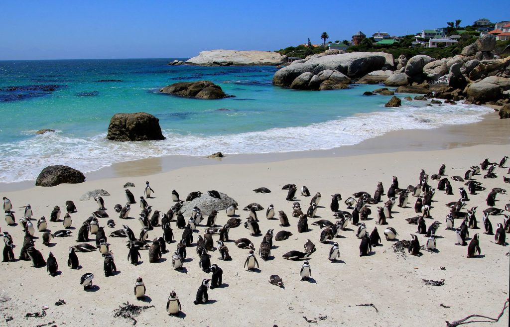 Boulders Beach