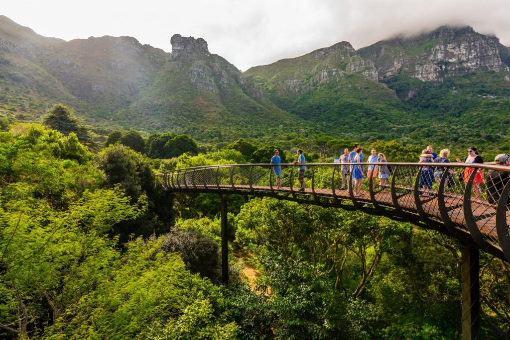 Kirstenbosch