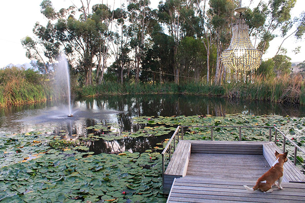 Photo 6 of Le Jardin Villa accommodation in Stellenbosch, Cape Town with 4 bedrooms and 4 bathrooms
