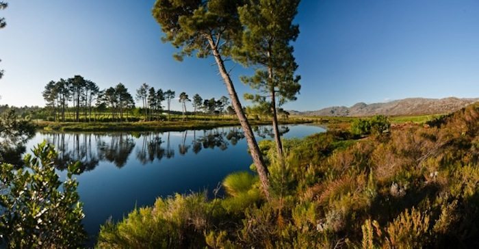 Photo 25 of Villa Lothian accommodation in Grabouw, Cape Town with 8 bedrooms and 8 bathrooms