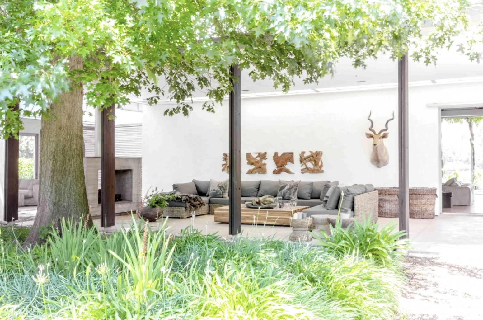 Franschhoek Bliss Photo 7