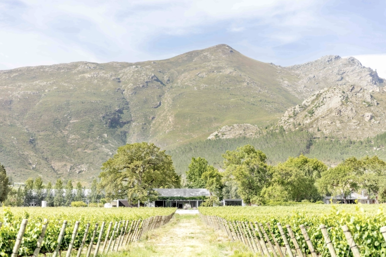 Franschhoek Bliss Photo 8