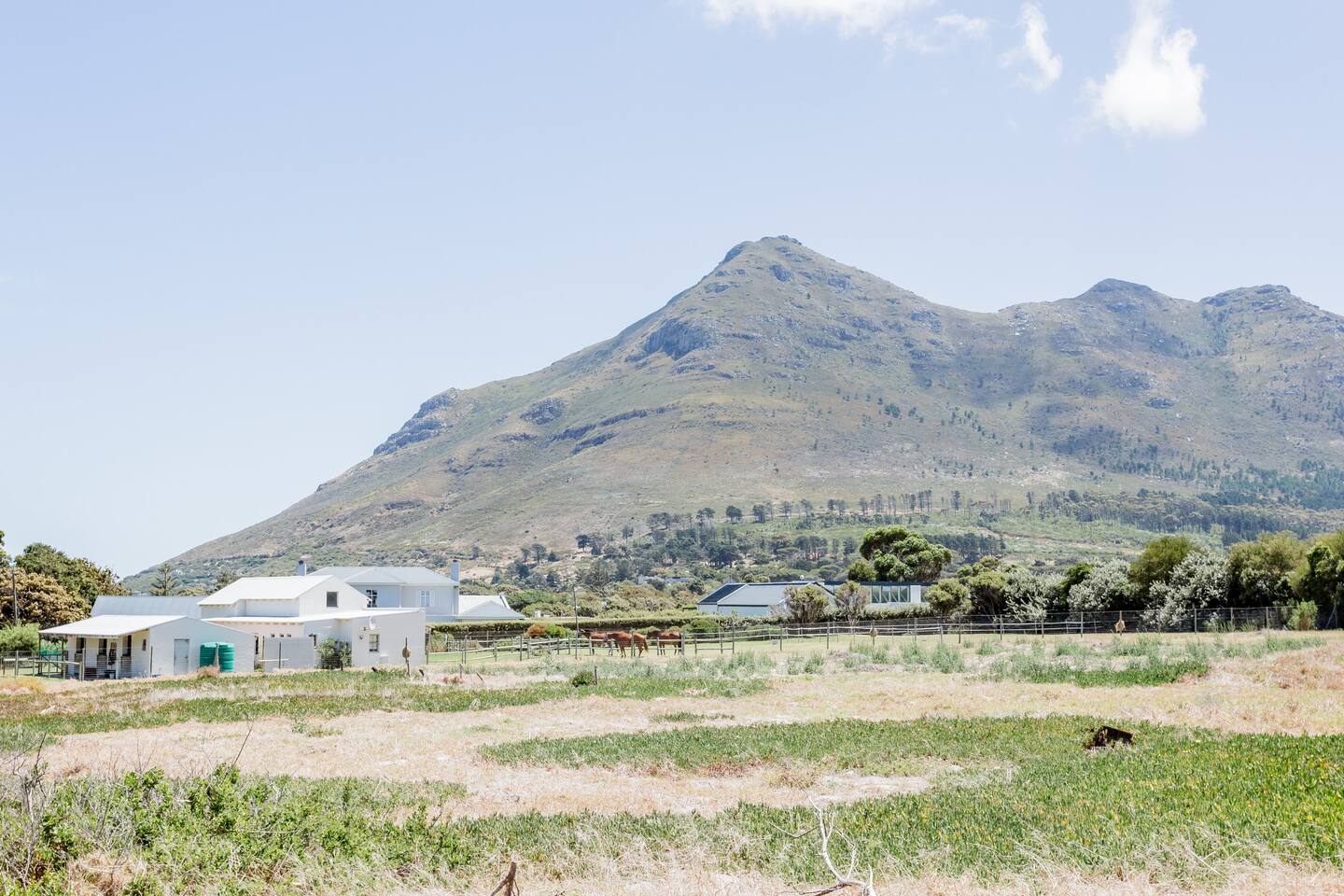 Noordhoek Farmhouse Photo 9