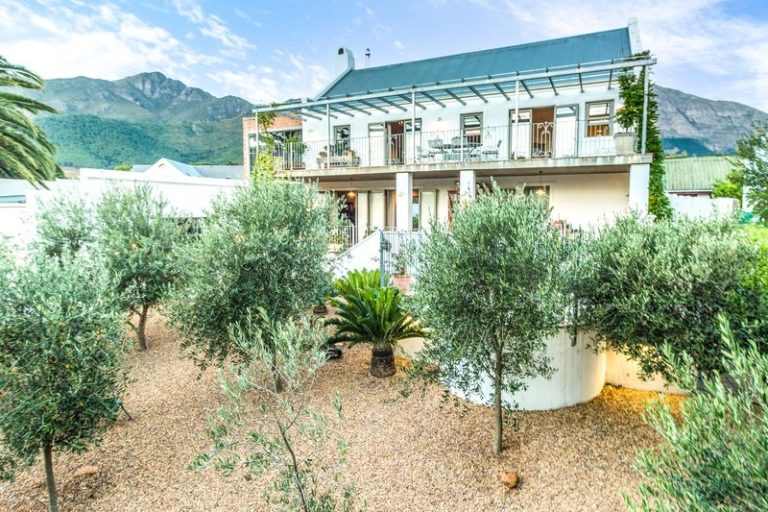 Franschhoek Serene Photo 4