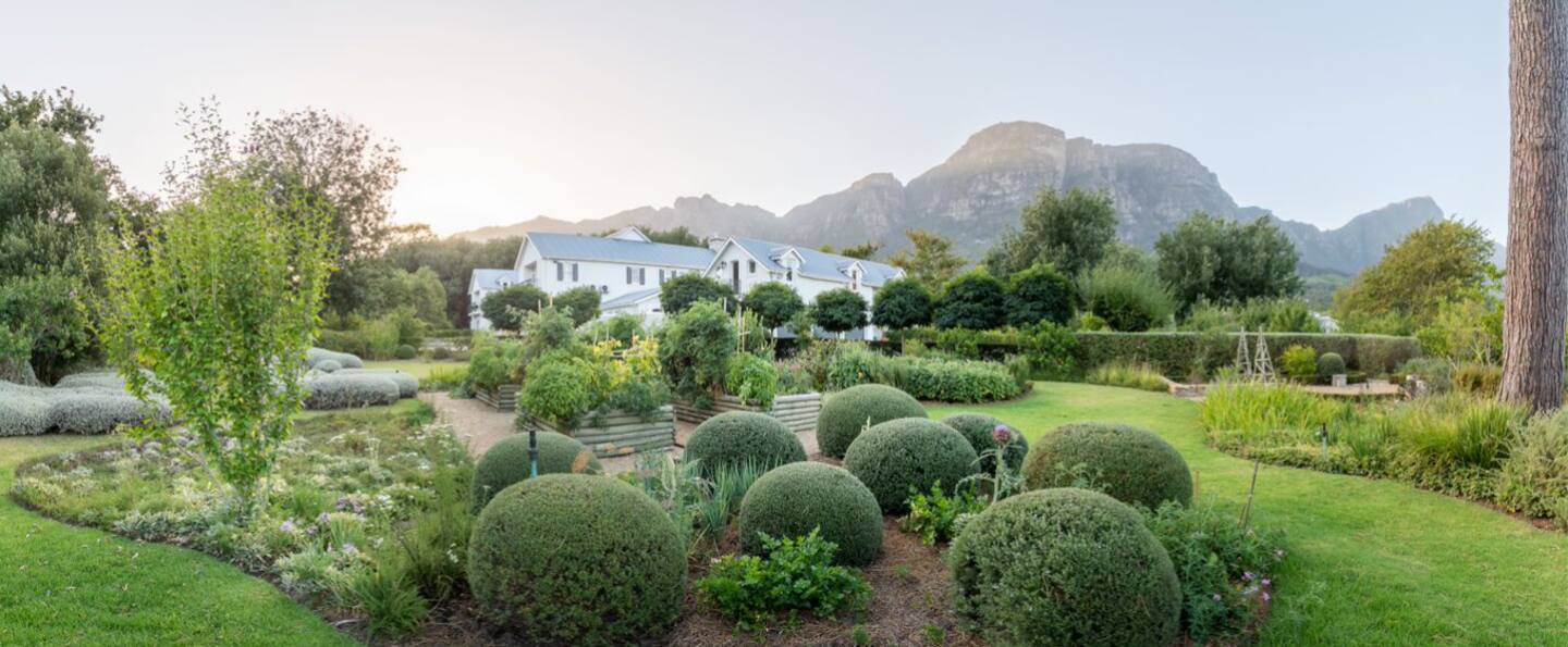 Constantia Leafy 15