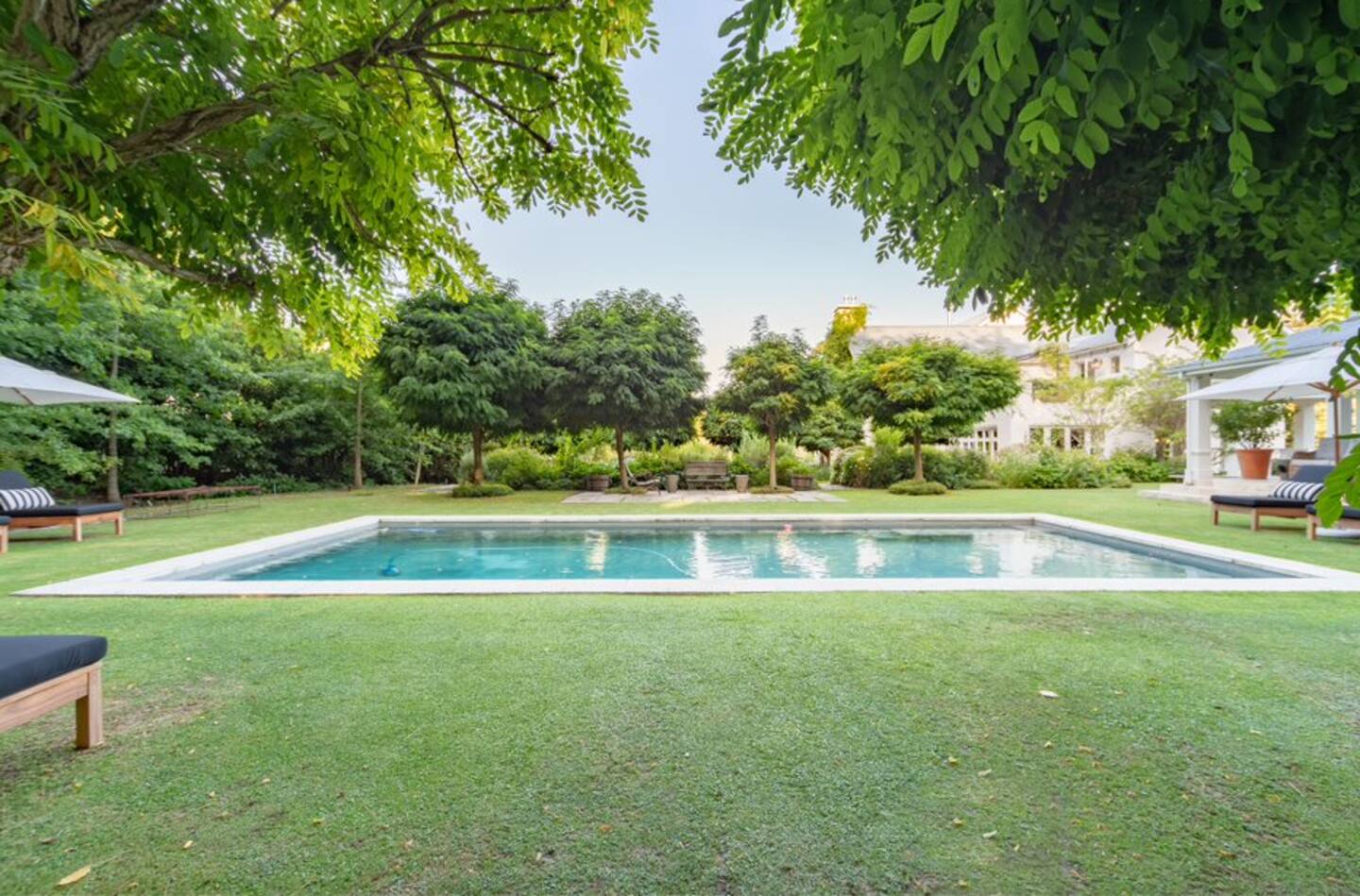Constantia Leafy 34